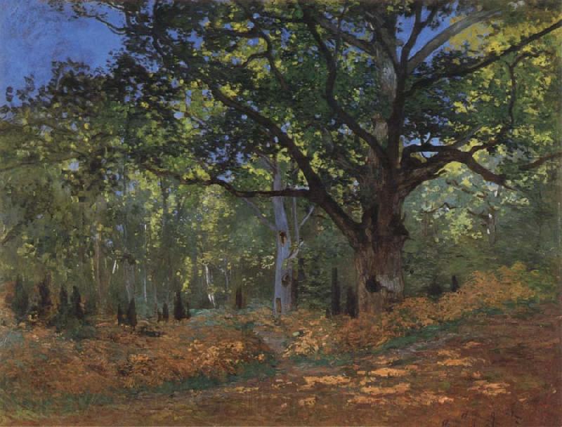 Claude Monet The Bodmer Oak,Forest of Fontainebleau